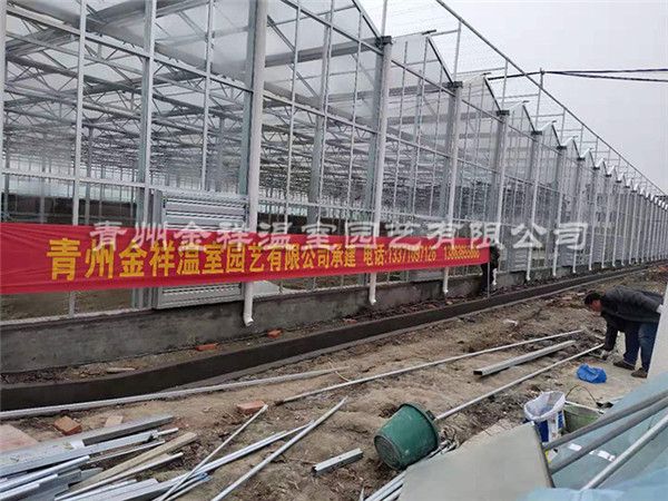 玻璃溫室大棚